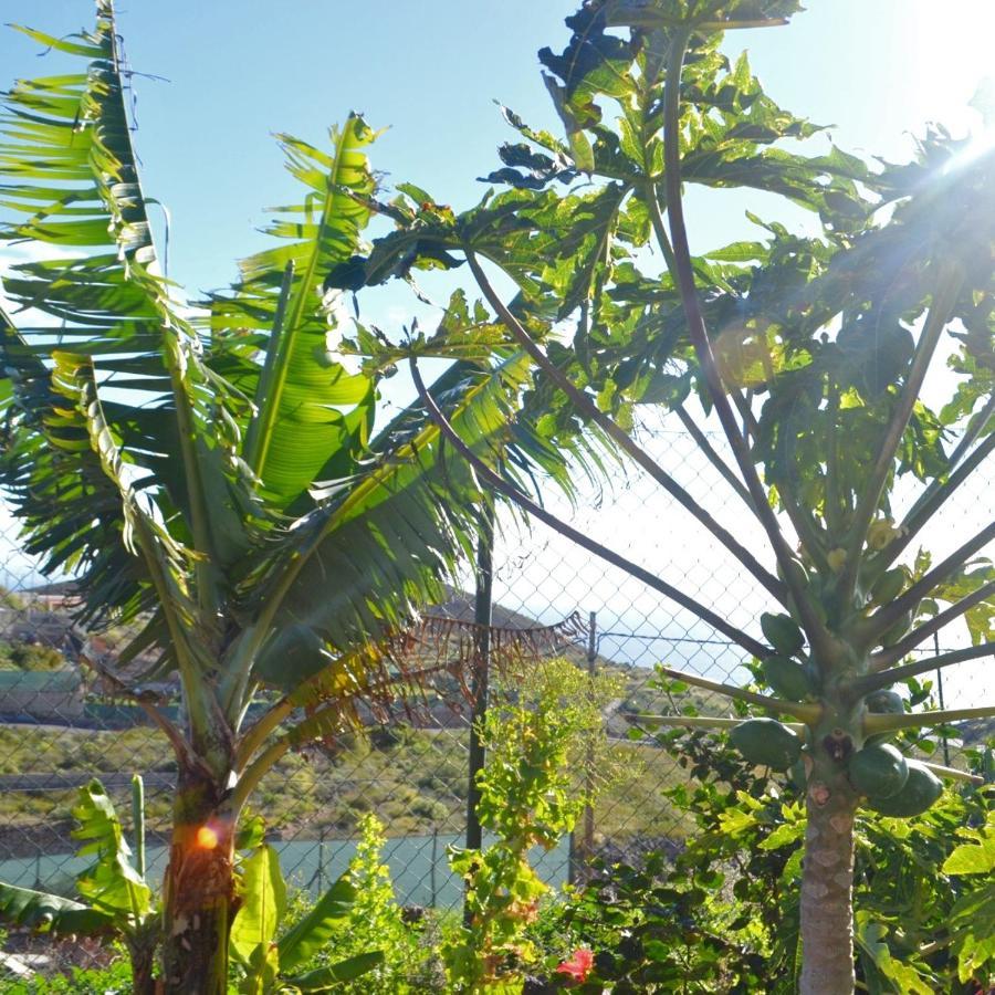 La Casa Del Barranco Villa Fasnia Eksteriør bilde